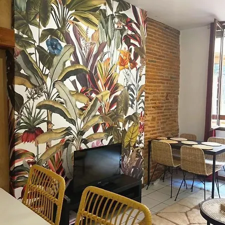 Le Rubis Des Carmes Apartment Toulouse Exterior photo